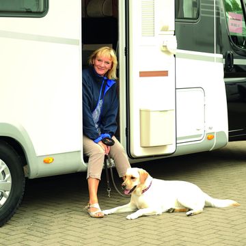 Reisen mit dem Hund